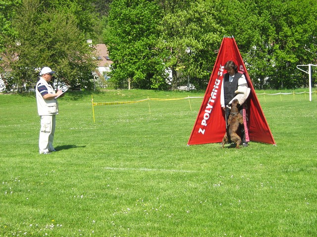 www.atibox.net * www.euroboxer.eu * www.boxergenealogia.eu